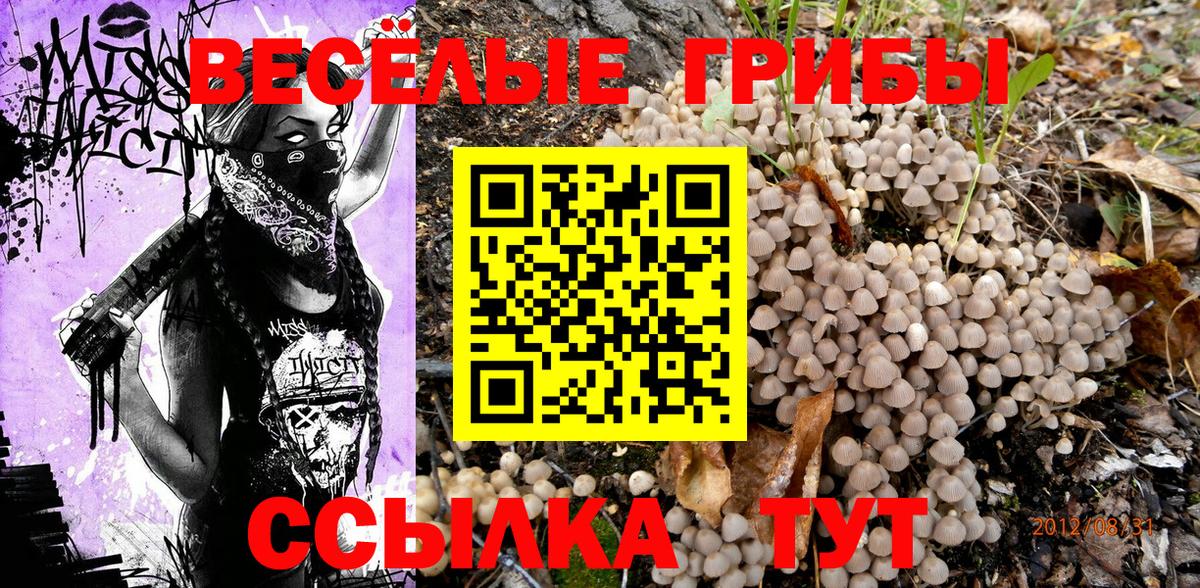 Псилоцибиновые грибы GOLDEN TEACHER Салехард