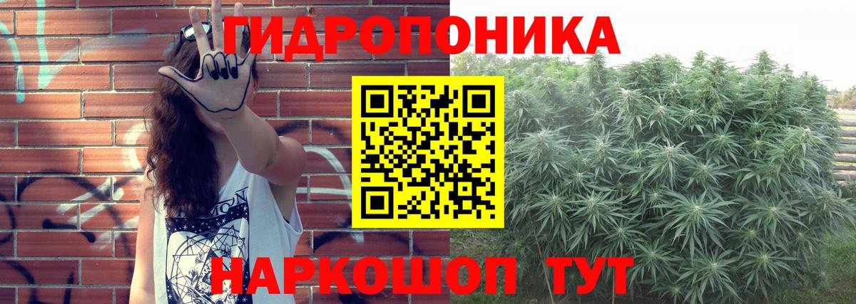 Бошки марихуана VHQ Салехард